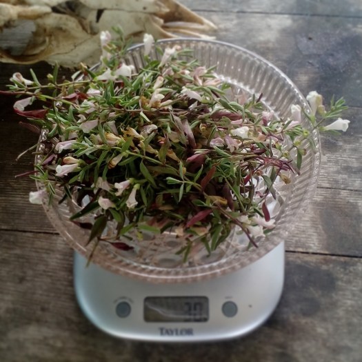 IMG_20170704_110533_933