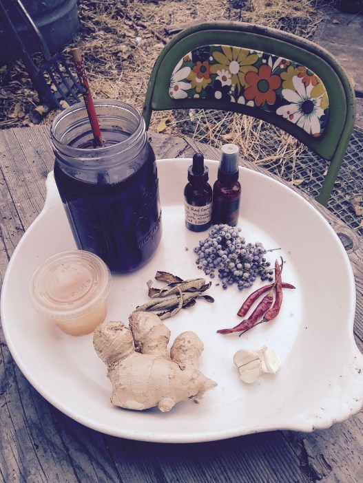 IMG_20181018_084034369